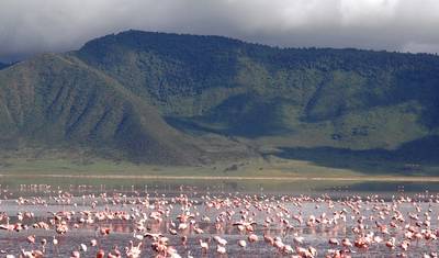 3 Days Ngorongoro Highland Trekking — 2