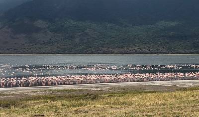 3 Days Ngorongoro Highland Trekking — 4