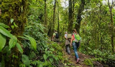 Ekwadorski Las Mglisty: Trekking z Pululahua do Maquipucuna — 2