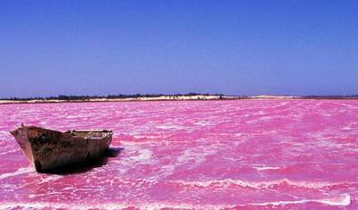 Discover Senegal, 7 Days — 4