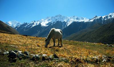 Langtang Valley Trek - 7 Days — 2