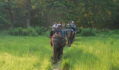 Safari w dżungli Chitwan — 4