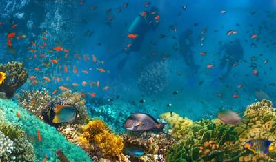 Férias de 7 Dias no Cairo, Luxor e Sharm El Sheikh (Visita ao Museu GEM) — 3