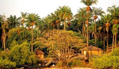 Aventura nas Ilhas da Guiné-Bissau — 4