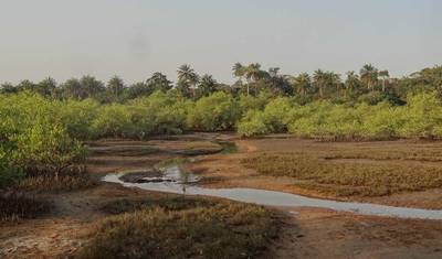 Guiné-Bissau – Ilhas e Vida Selvagem — 5