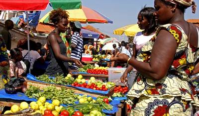 Guiné-Bissau – Ilhas e Vida Selvagem — 4