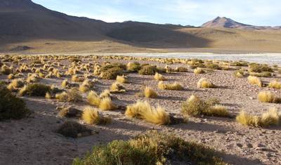 8-dniowe wyjątkowe doświadczenie w San Pedro de Atacama i na Wyspie Wielkanocnej (Rapa Nui) — 5