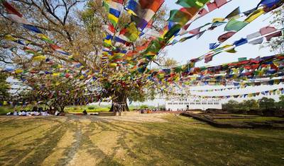 Wycieczka krajoznawcza po Lumbini - 3 dni — 3