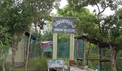Rezerwat Tygrysów Sunderbans — 3