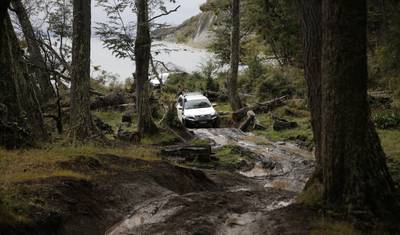 Descoberta Premium de 8 Dias: Ushuaia e El Calafate partindo de Buenos Aires — 5