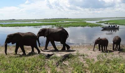7 Days Luxurious Tanzania wildlife  Breakaway — 4