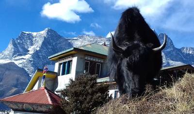 Trekking do Bazy pod Mount Everest — 5