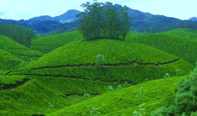 Kerala Zaprasza — 4