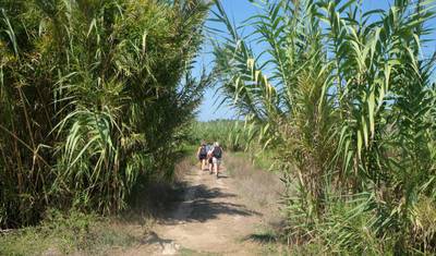 Walk&Rail em Salento 2020 — 3