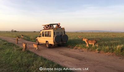 7 Days Tanzania Camping Safari — 2