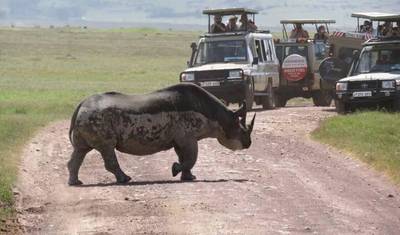 7 Days Tanzania Camping Safari — 4