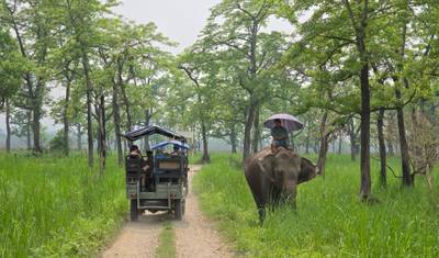 Safari na Selva de Chitwan — 4