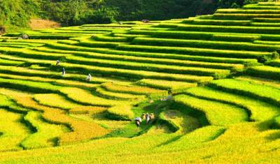 Mai Chau - Pu Luong Trekking 5 dni / 4 noce — 2