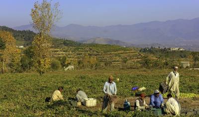 08 Days Swat Valley Cherry Blossom Tour Pakistan — 2