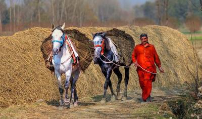 08 Days Swat Valley Cherry Blossom Tour Pakistan — 4
