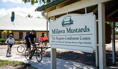 Tour de North East Victoria - Active (Guided) — 4
