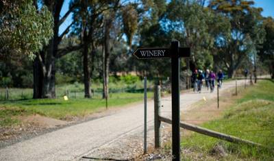 Tour de North East Victoria - Active (Guided) — 5