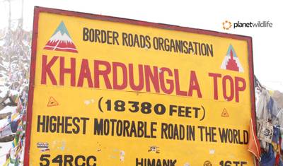 Explorador Trans-Himalaio - Ladakh, Índia — 5