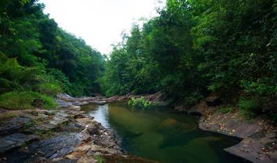 Excursão de 7 Dias Fora do Roteiro Convencional: Natureza e Vida Selvagem — 4