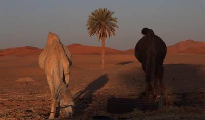 Prywatna wycieczka przez pustynię z Marrakeszu do Fes (luksusowy obóz) — 5