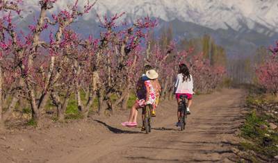From the Falls to the Andes 12 Days — 4