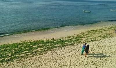 Passeios Soberbos por Java e Bali: Tour Privado — 4