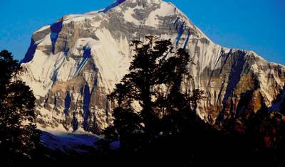Mohare Danda Trek - 10 Days — 4