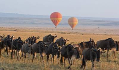 8-dniowe safari w Tanzanii z kulturowymi doświadczeniami — 2