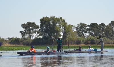 Safári Fotográfico na Reserva Moremi e Parque Nacional Chobe — 3