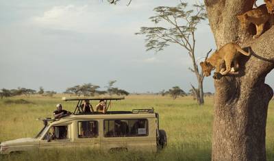 Safari de 6 dias - Migração da Vida Selvagem para o Norte (somente de julho a outubro) — 2