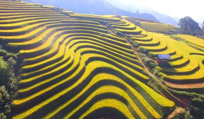 Mu Cang Chai & Sapa - 5日間 — 5