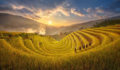 Mu Cang Chai & Sapa - 5日間 — 2
