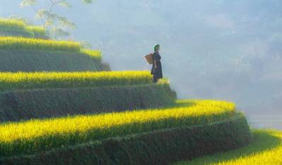 Mu Cang Chai & Sapa - 5日間 — 3