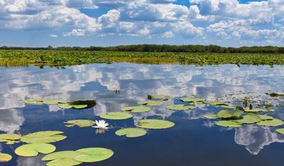 Excursão ao Delta do Danúbio saindo de Bucareste — 2