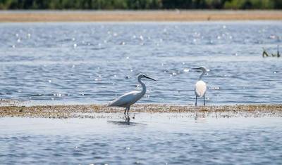 Excursão ao Delta do Danúbio saindo de Bucareste — 5