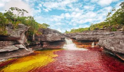 3 Dias Caño Cristales (Rio Arco-Íris) de Bogotá — 3