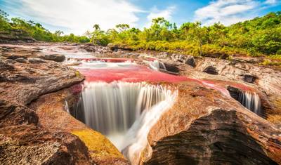 3 Dias Caño Cristales (Rio Arco-Íris) de Bogotá — 2
