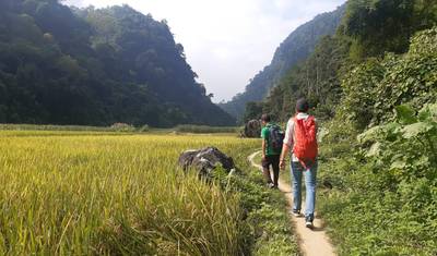 6-dniowa wyprawa poza utartymi szlakami do Północnego Wietnamu: Jezioro Ba Be - Trekking do wodospadu Ban Gioc — 4
