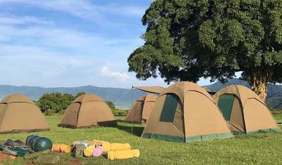 5-dniowa grupowa wycieczka kempingowa do najlepszych parków dzikiej przyrody w Afryce — 2