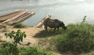 Wycieczka do Chitwan — 3