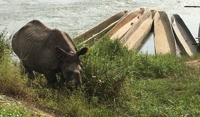 Wycieczka do Chitwan — 2