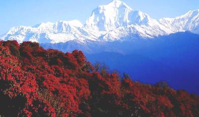 Wonderful Annapurna View Trek — 5