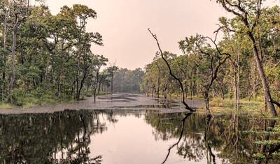 Kathmandu - Chitwan Nepal Tour - Experience Heritage & Wildlife Safari — 5