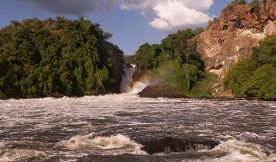 2 Dias de Safari de Vida Selvagem no Parque Nacional Murchison Falls — 5