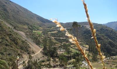 4-dniowy trekking Lares do Machu Picchu — 2